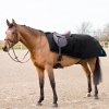 Derka treningowa 250 g AVALANCHE - Horze 